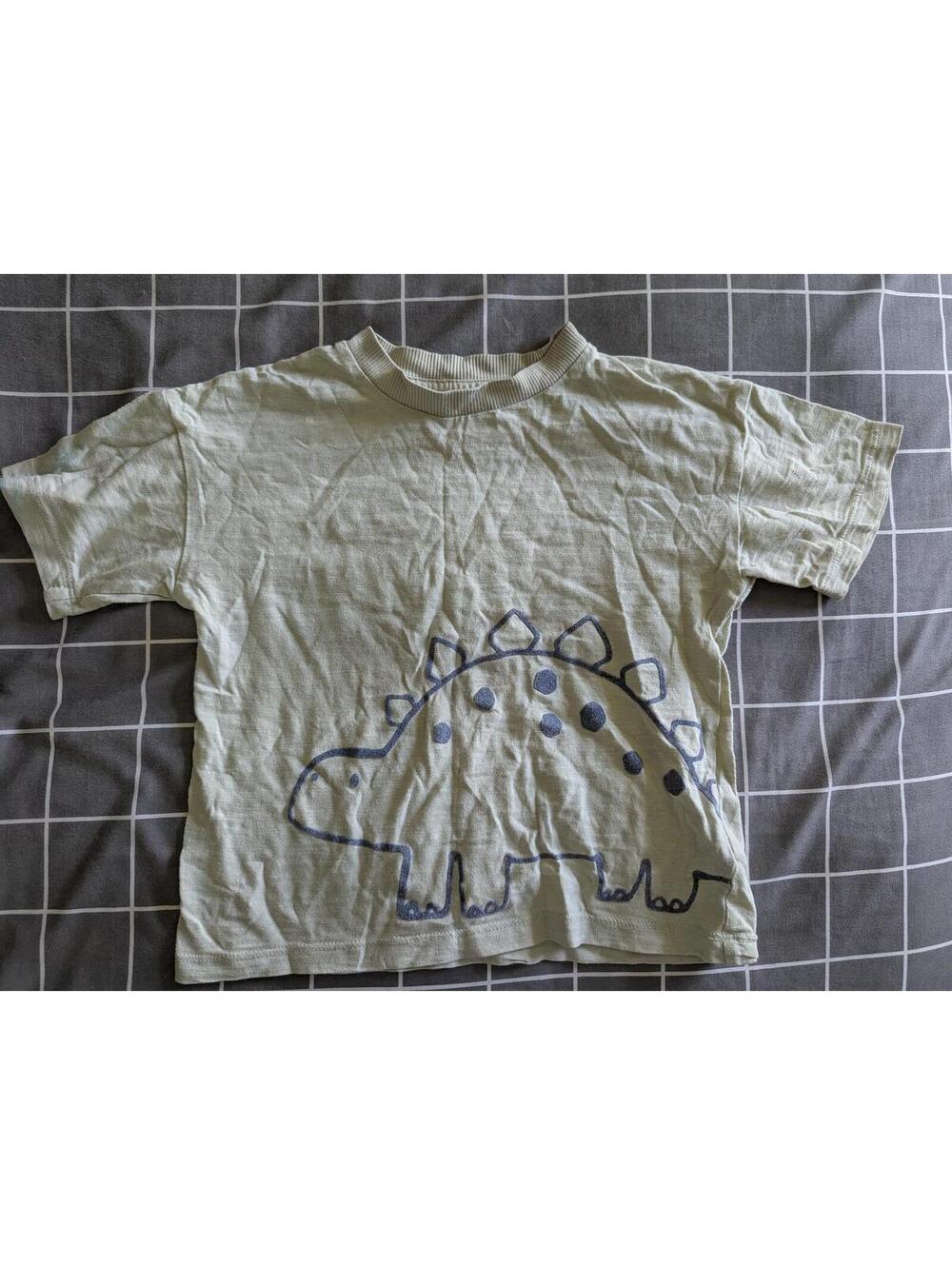 Next dinosaur stegosaurus tee